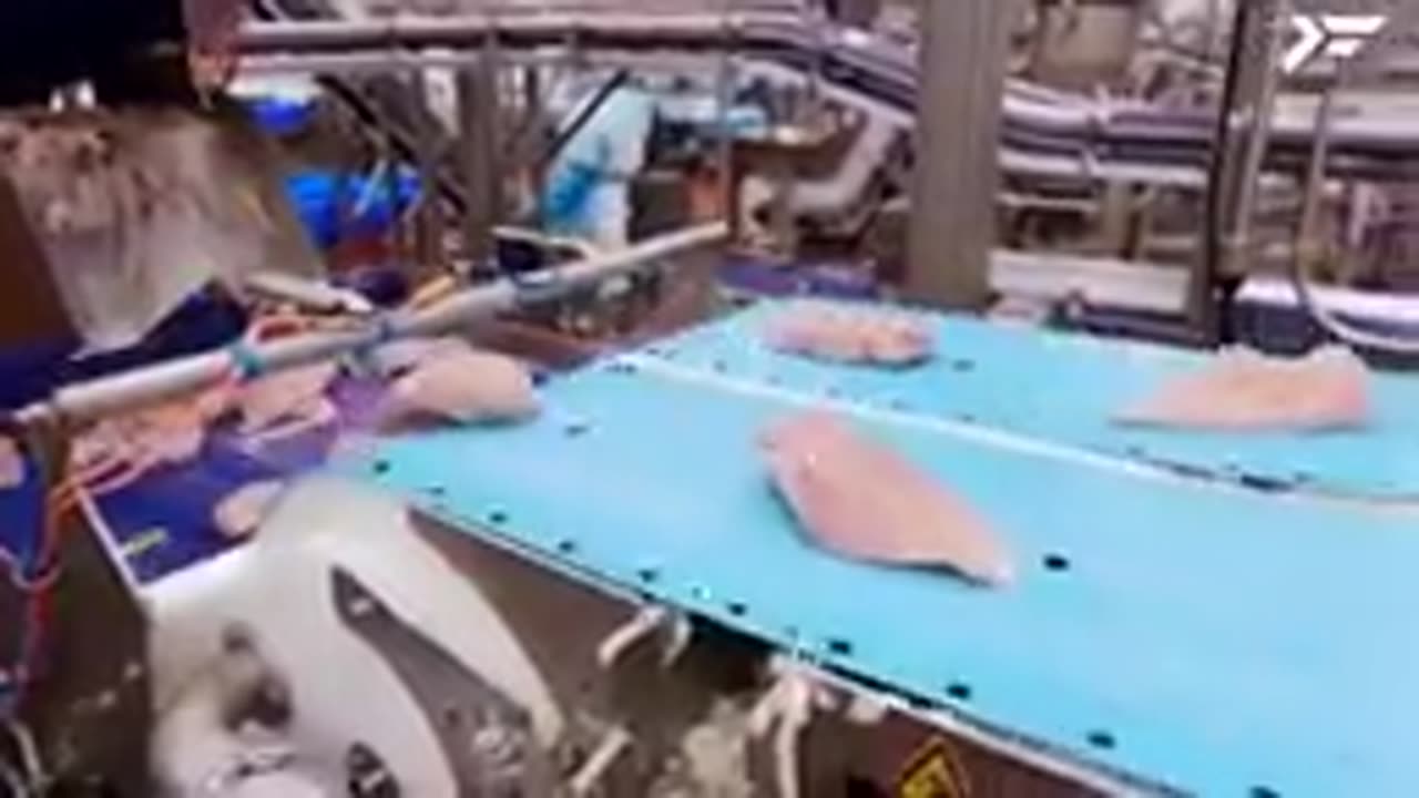 How KFC Chicken is Processed in a Factory _ Crispy Fried Chicken Factory Process