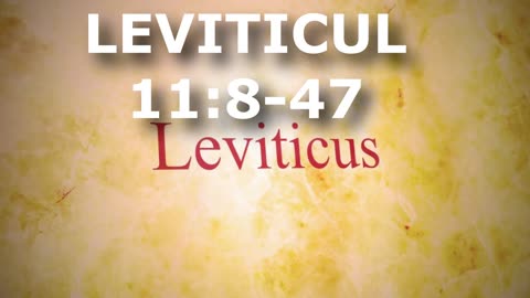 Leviticul 11:8-47 | Itinerar Biblic | Episodul 181