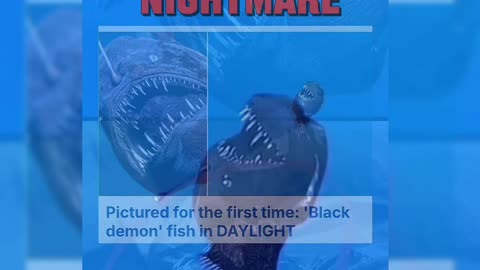 First ever daylight sighting of the legendary black demon fish, Monster of the deep! 🧟‍♂️💀