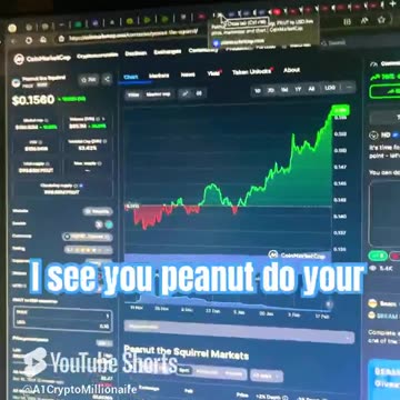 peanut the squirrel pnut price prediction crypto market bull run! #fyp