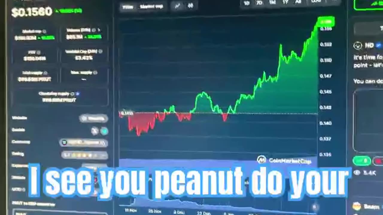 peanut the squirrel pnut price prediction crypto market bull run! #fyp