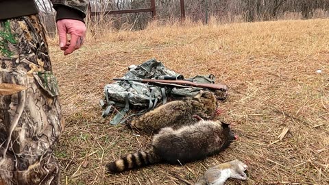 Raccoons and a squirrel. Great day in the timber!!!