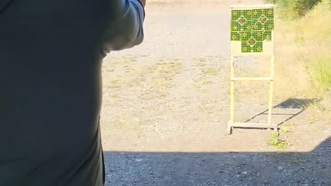 S&W M&P Shield Pistol