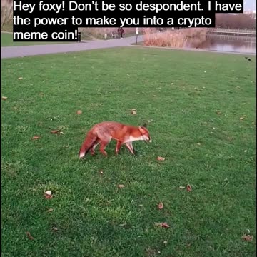 Heads Up Foxy