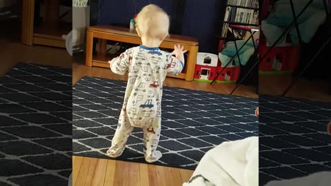 1000 Silly Things When Baby Playing