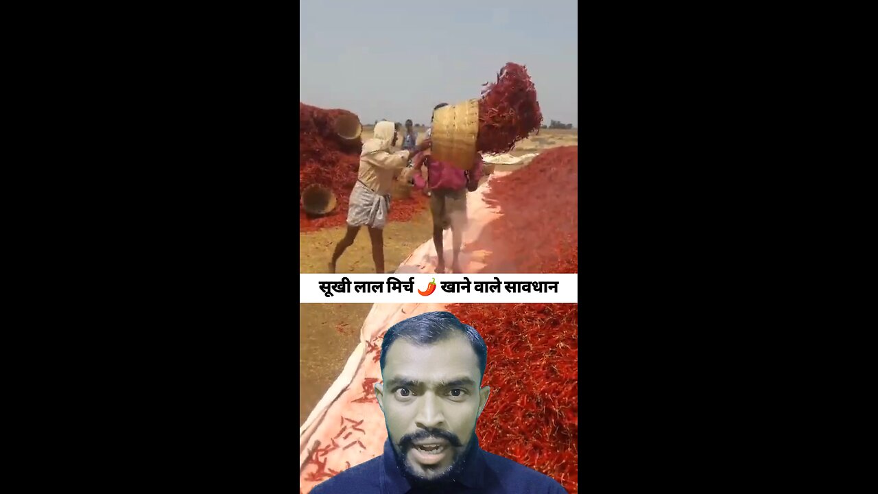 सूखी लाल मिर्च को हमेशा धो कर ही यूज करें 🌶️