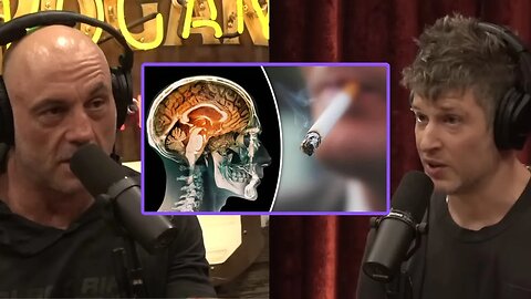 Joe Rogan & Max Lugavere: How Nicotine Protects the Brain & Reduces Risk of Parkinson's Disease