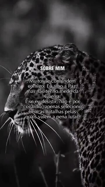 🔹 🐅 রয়েল বেঙ্গল টাইগার - রাজকীয় বাঘের শক্তি ও গর্জন! 🔥🎬