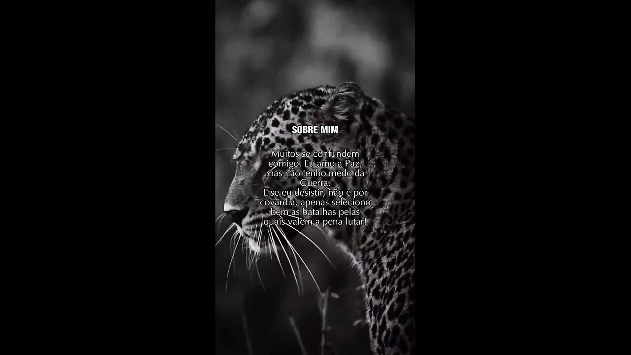 🔹 🐅 রয়েল বেঙ্গল টাইগার - রাজকীয় বাঘের শক্তি ও গর্জন! 🔥🎬