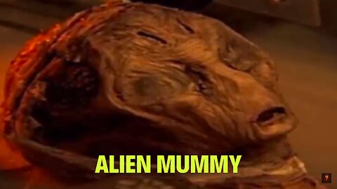 "Alien Mummy" 👽 - Discovered In Mongolia