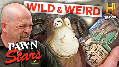 Pawn Stars: WILD Animal Items Value Will Shock You