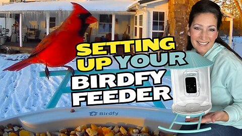 How to QUICKLY Assemble and Set Up Your Birdfy Feeder: Easy Step-by-Step Guide