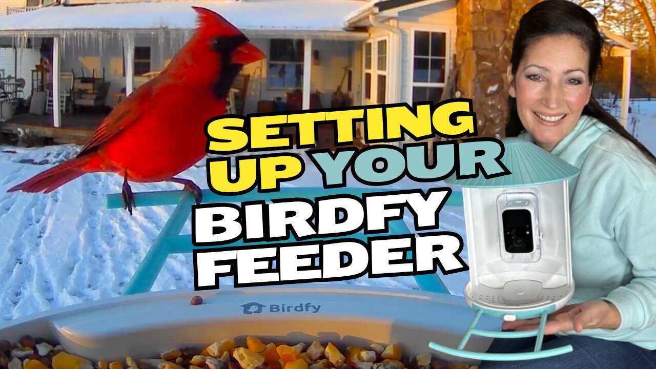 How to QUICKLY Assemble and Set Up Your Birdfy Feeder: Easy Step-by-Step Guide