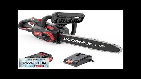 USA Direct Ecomax ELG05 Cordless Chainsaw 12-Inch 18V Electric Chainsaw with 4Ah Battery Review