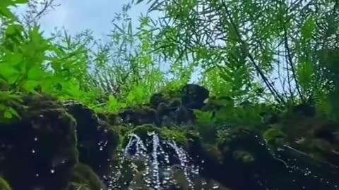 mountain nature video