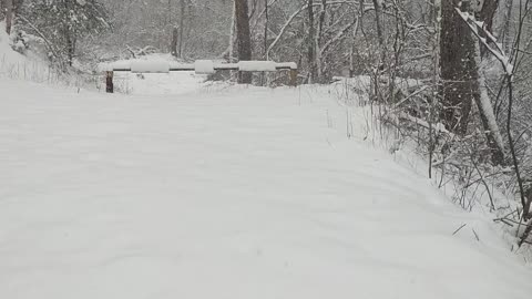 Walking along snow covered road