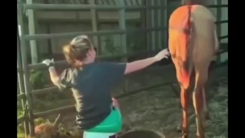 She was kicked by the horse because she was annoying it.