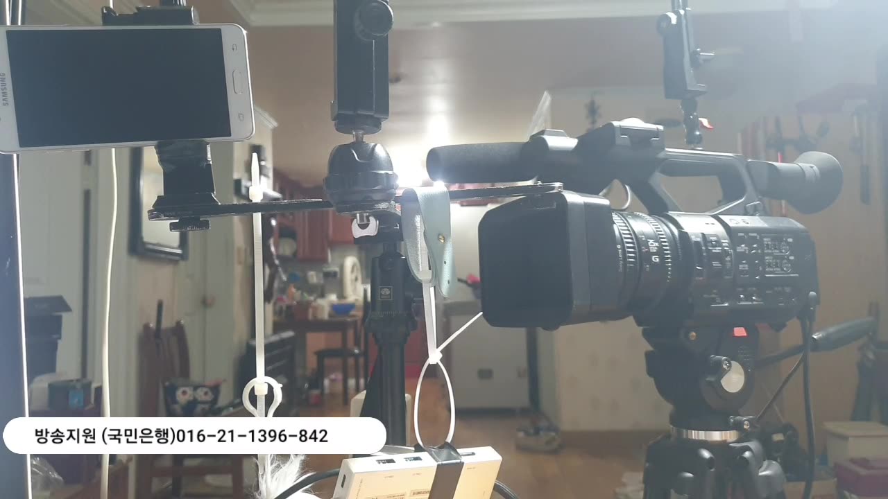 250216... 한국 정치는 미개인이야.