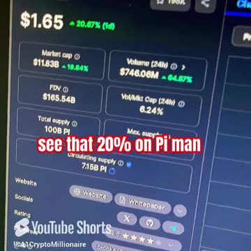 pi crypto market coin crushing news gains trade #fyp