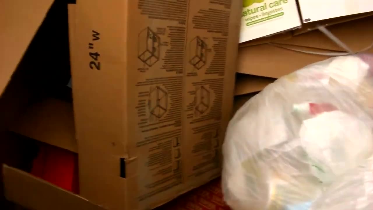 Cool Dumpster Dive Finds (Part 2 of 3)