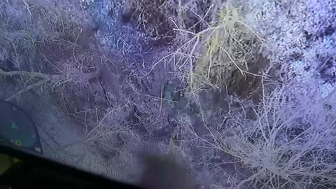 Russian forces destroyed Ukrainian armored vehicles on the border of the Kursk region