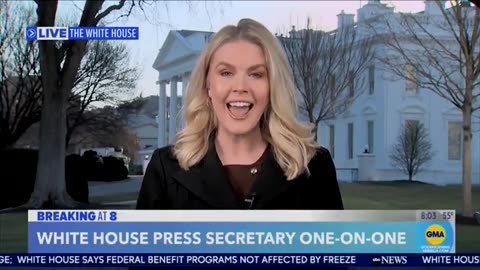 Trump’s Press Secretary Karoline Leavitt Takes Reporter’s Soul on Live TV