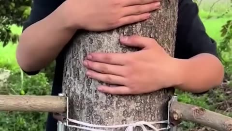 Hugging a tree