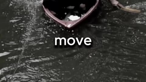Let go
