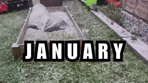 3 Gardening Hacks You Need This January!