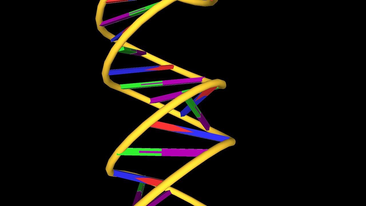 HOTC QW | Not Vaccines But Gene Therapy | Wed Jan 5th, 2025