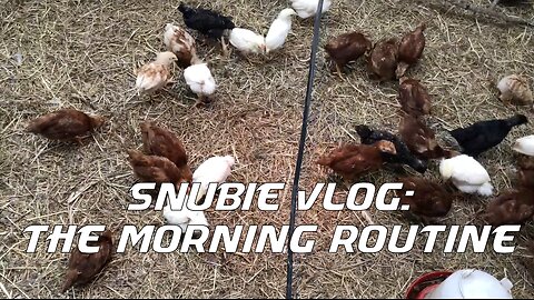 Snubie Vlog: The Morning Routine (2019)