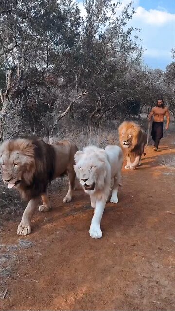 funny videos funny birds beautiful pictures Nature beauty