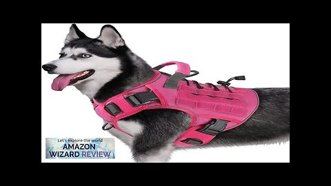 WINGOIN Pink Harness with Handle Tactical Dog Harness for Large Dogs No Review