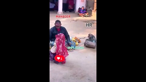 बन्दर डांस