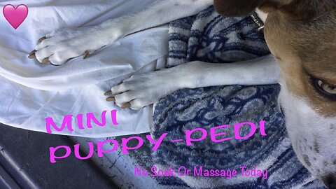 🐾 Mini Puppy Pedi 🐾