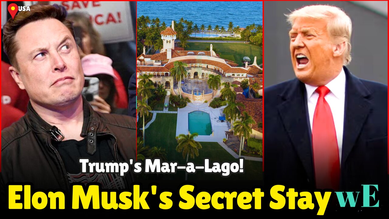 Elon Musk and Trump: The Mar-a-Lago Cottage That Costs $2,000 a Night - WorldEye