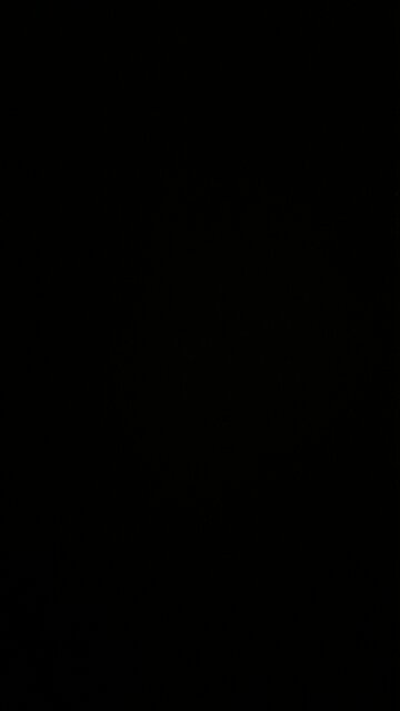 Metaphysical information