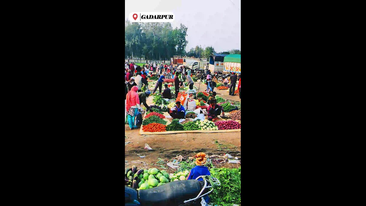 Sunday market Gadarpur