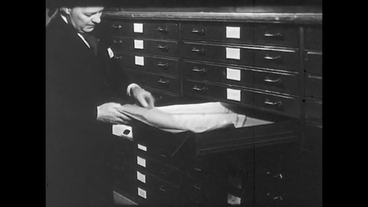 Drafting Tips