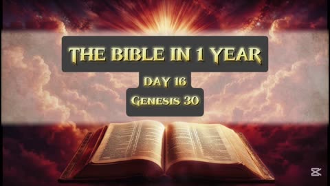 Day 16 of 365 (THE WHOLE BIBLE)