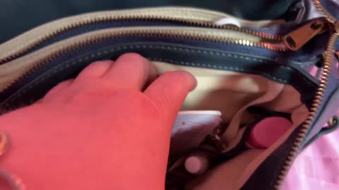 What's in my Minooy Calypso Crossbody Bag with Tons of Organization.