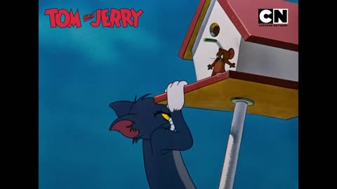 Funny Tom and Jerry - Jerry's Jumbo Prank!