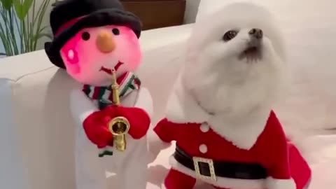 Singing Christmas songs duet