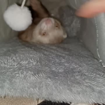 What does he do in there? Part 2