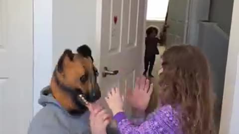 Dog prank - funny video - try not to laugh