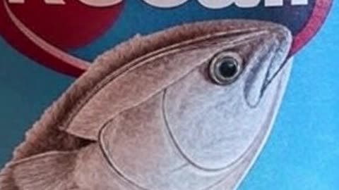 Tuna Can-tastrophe: The Recall That Will Make You Rethink Lunch FOREVER. Funny Sarcastic News