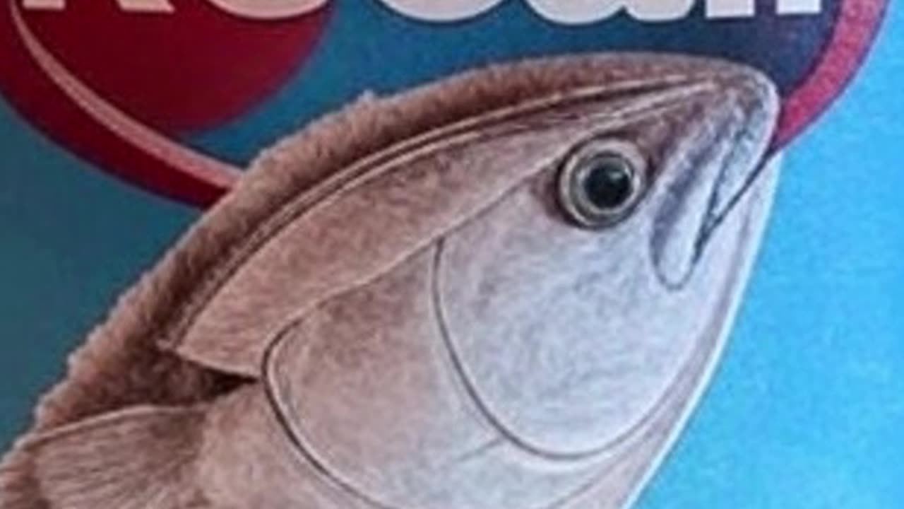 Tuna Can-tastrophe: The Recall That Will Make You Rethink Lunch FOREVER. Funny Sarcastic News