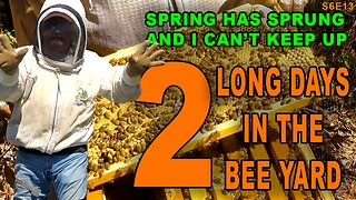 Two LONG days in the bee yard preparing for new queens. Grab a snack, It's a long video.