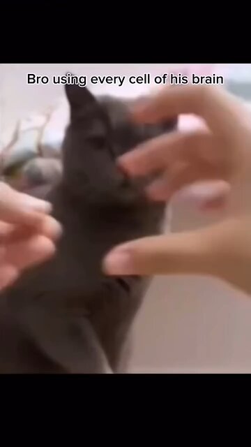 Bro used 1000 percent of his brain