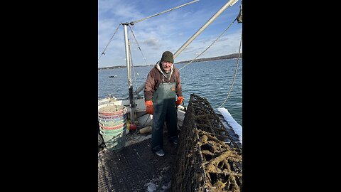 Peconic Gold Oysters Winter Operation